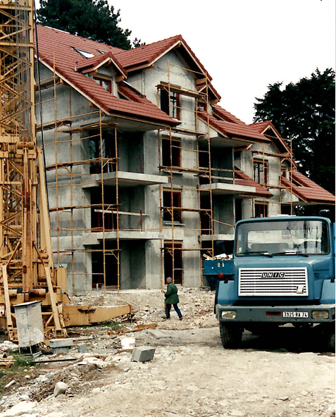 Les cèdres